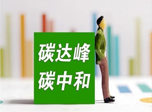 中國(guó)“雙碳”目標(biāo)下如何平衡發(fā)展與減排？